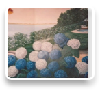 collage image title